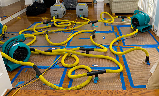 Professional Flood Damage Restoration technician working in Saint Augustine, FL